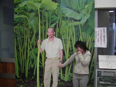 ����@�������@�ӂ邳�Ƌ�͐��@���ق������S��